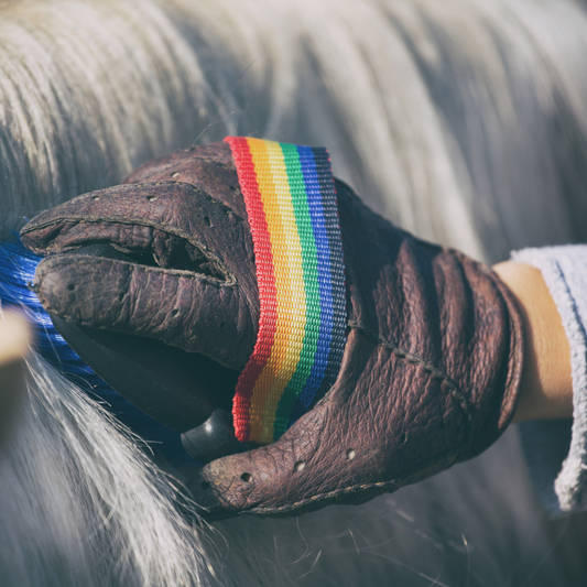 The Ultimate Guide to Horse Grooming: Tips for a Healthy and Shiny Coat