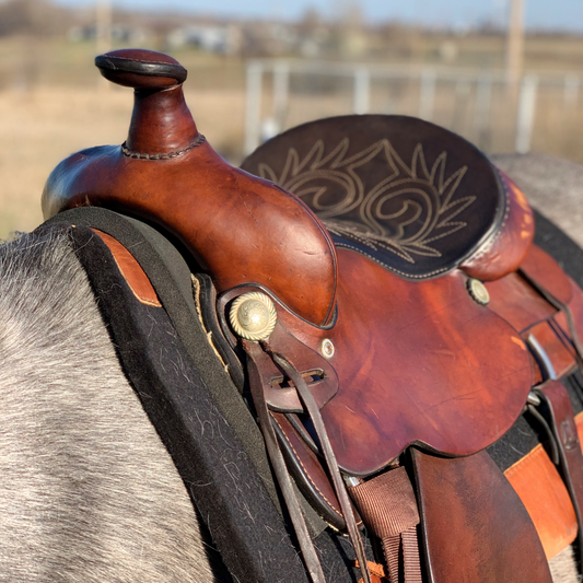 Choosing the Right Horse Tack: A Comprehensive Guide