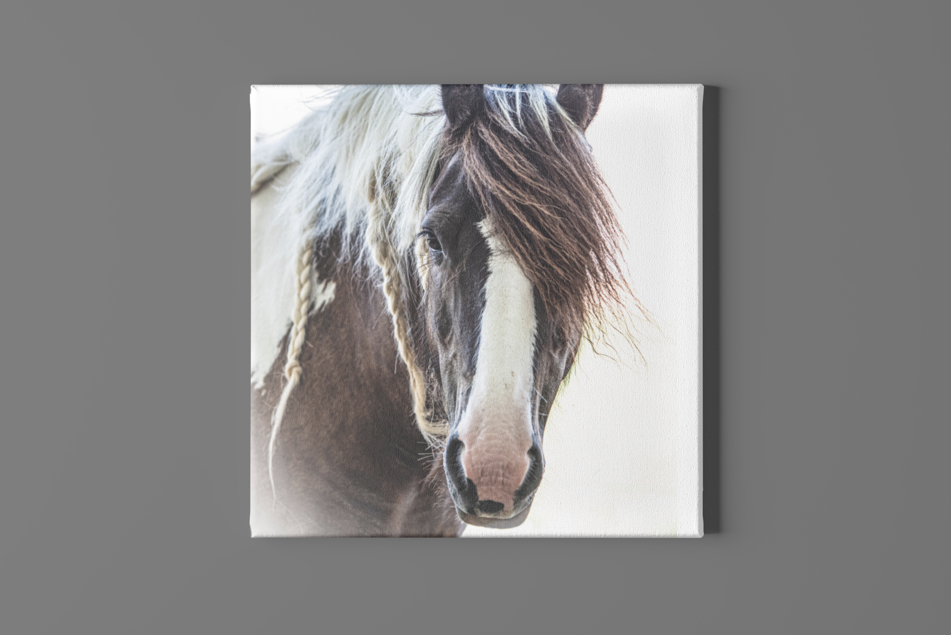 Gypsy Horse Canvas Art Print - MyAllOutHorses