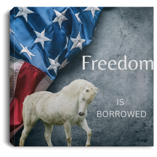 Freedom is Borrowed Horse Canvas Art Print - MyAllOutHorses