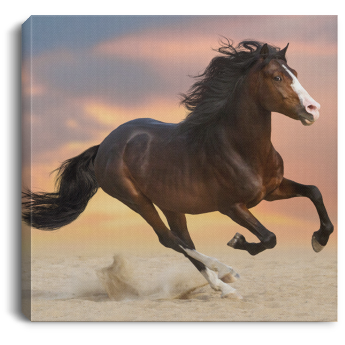 Beauty and Power Running Free Horse Canvas Art Print - MyAllOutHorses