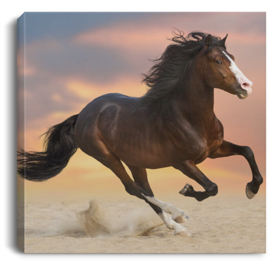 Beauty and Power Running Free Horse Canvas Art Print - MyAllOutHorses