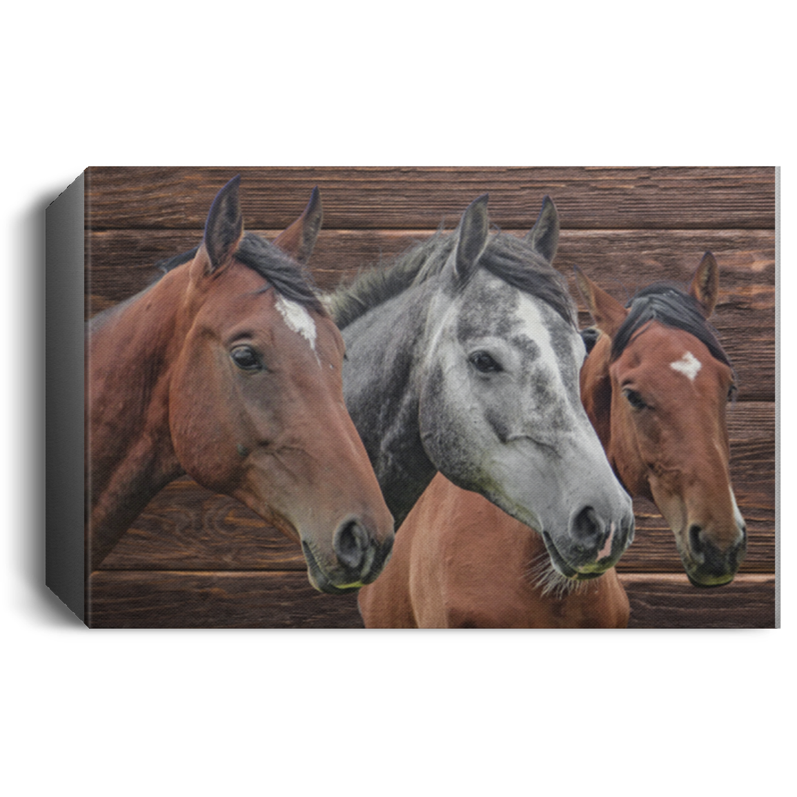 We Three Horses Canvas Print - MyAllOutHorses