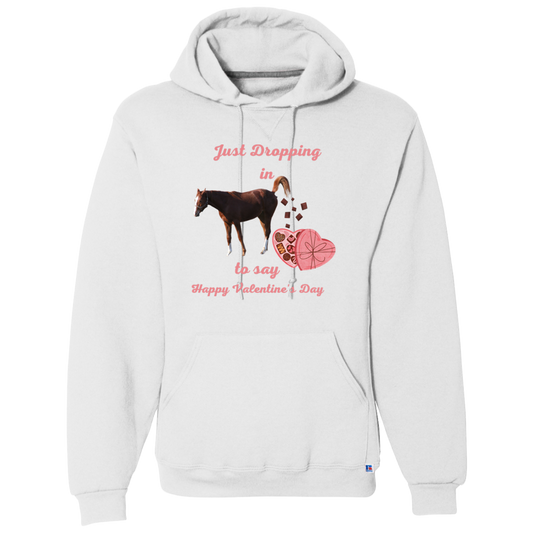 Just Dropping In Valentine's Day Hoodie Sweatshirt - MyAllOutHorses