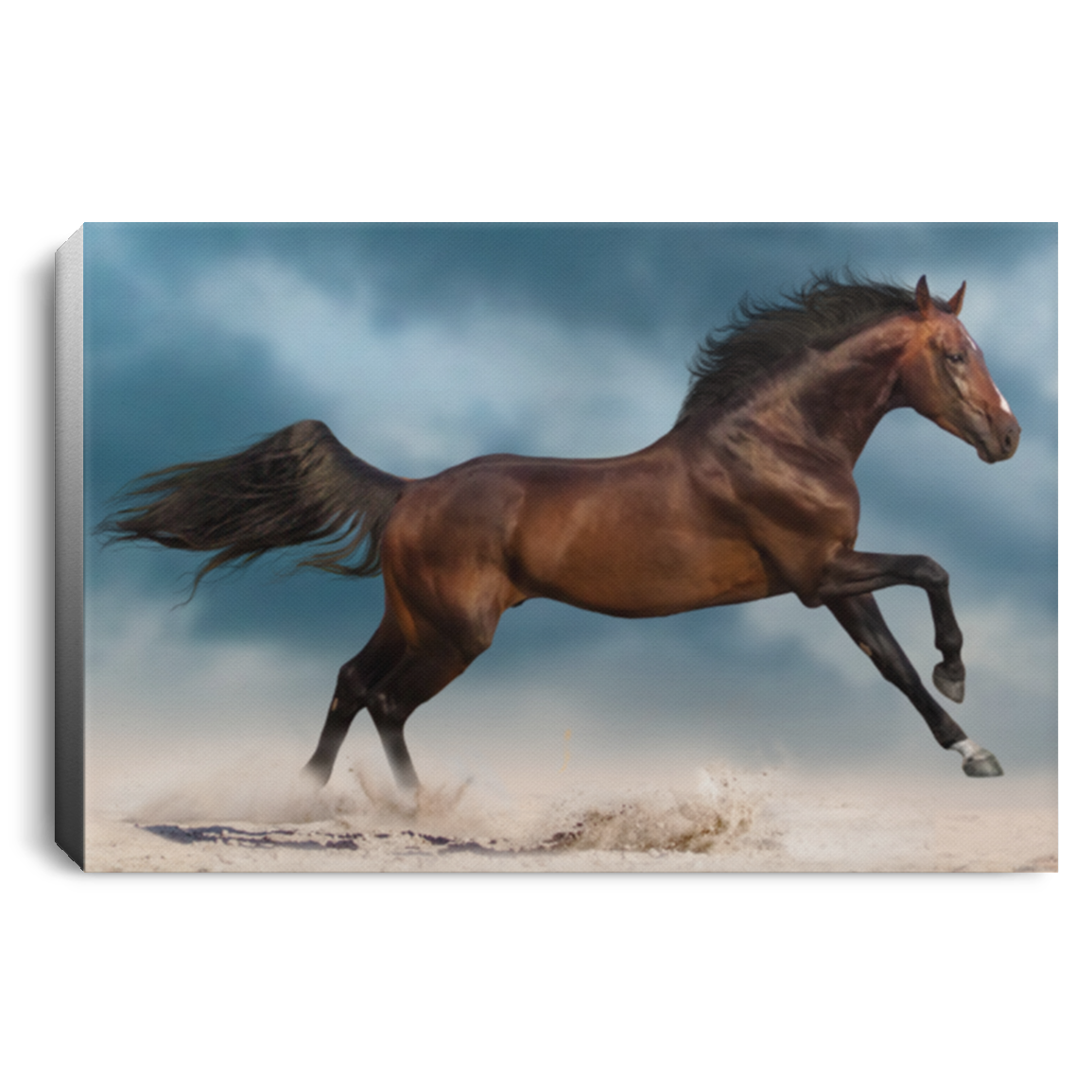 Power of the Horse Canvas Print - MyAllOutHorses