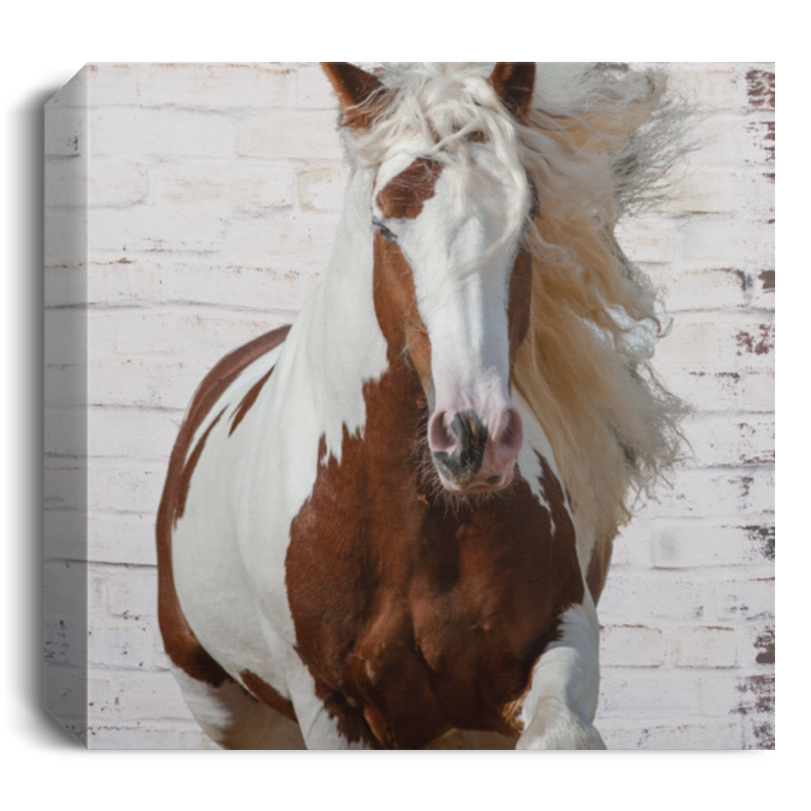 Gypsy Horse Paint Canvas Print Flowing Mane - MyAllOutHorses