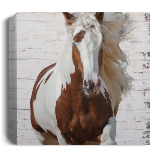 Gypsy Horse Paint Canvas Print Flowing Mane - MyAllOutHorses