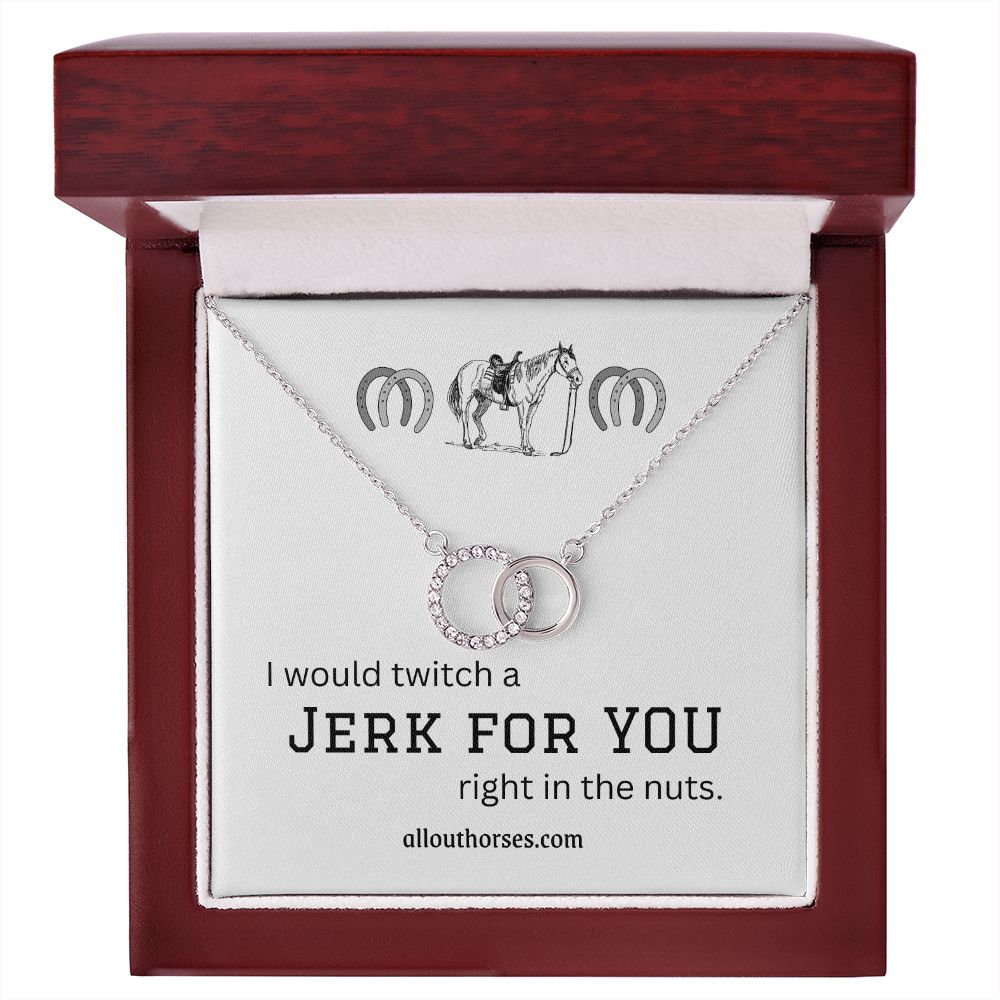 Twitch a Jerk Horse Lover Perfect Pair Necklace for Laughs - MyAllOutHorses
